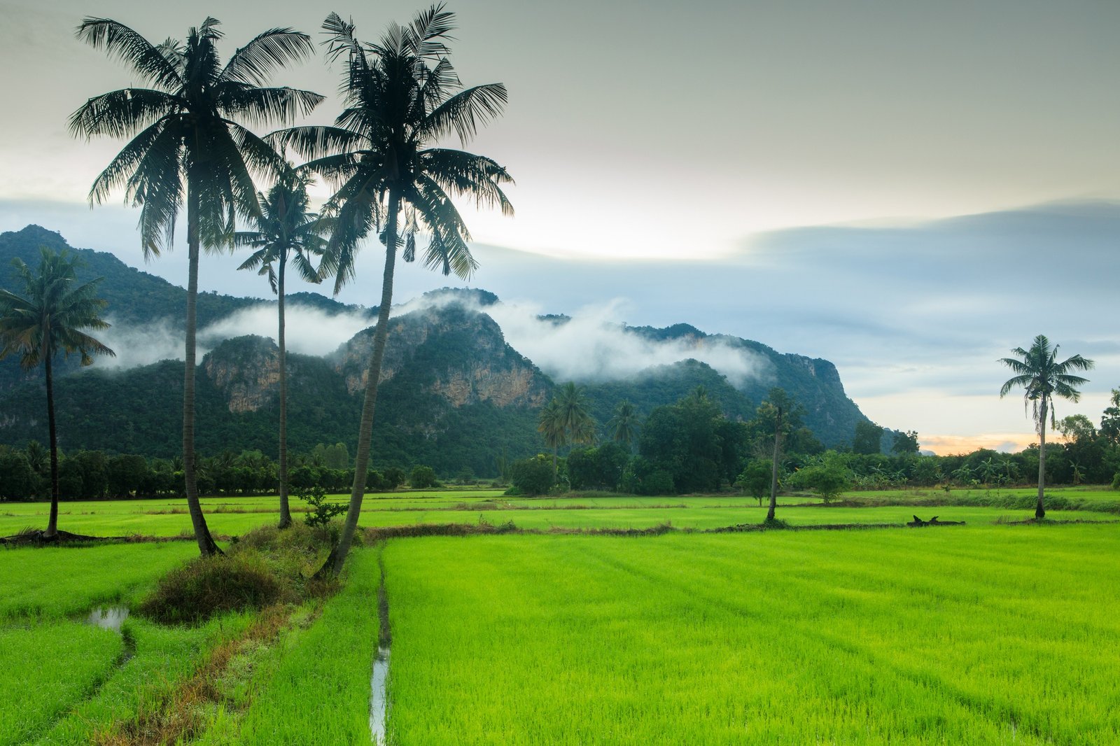 Traditional & Modern Comforts